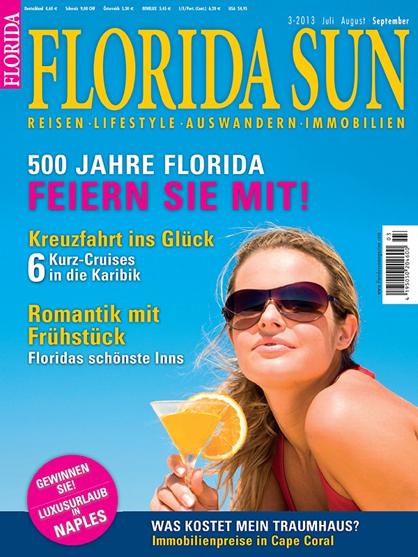 Cover 3-13
