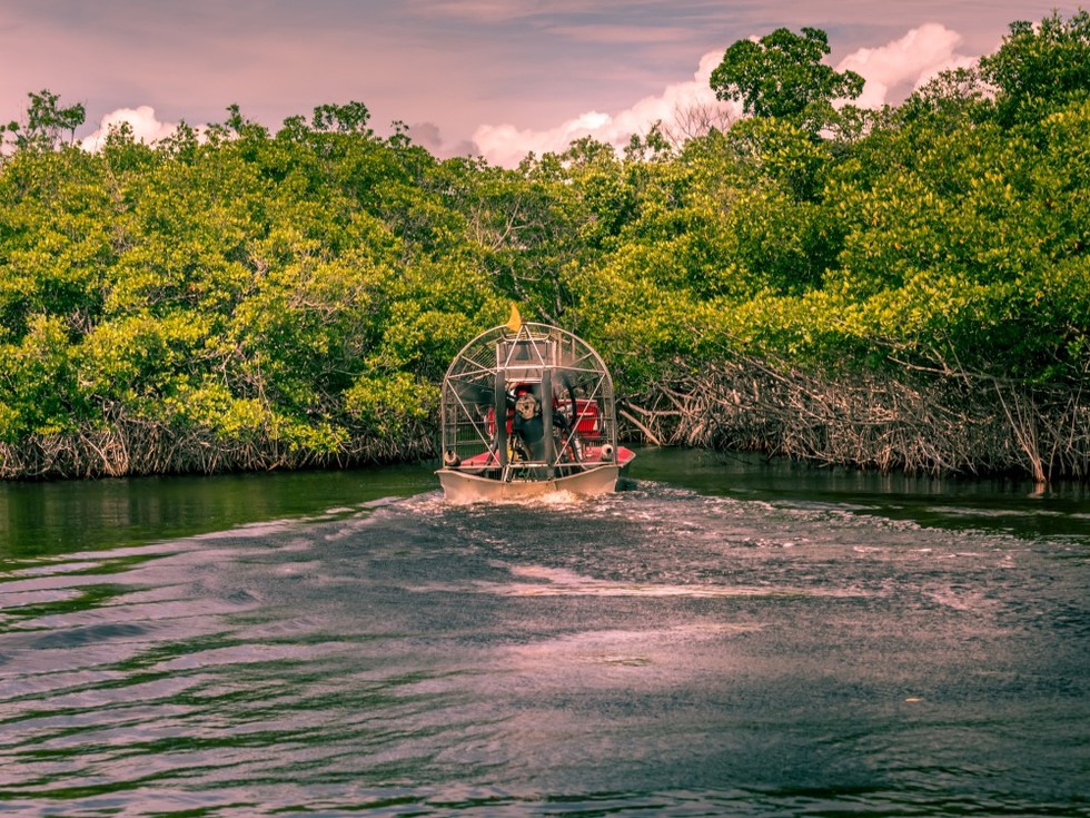Everglades: Sumpfbootstour (Foto © Martina Birnbaum/Shutterstock.com)