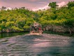 Everglades: Sumpfbootstour (Foto © Martina Birnbaum/Shutterstock.com)