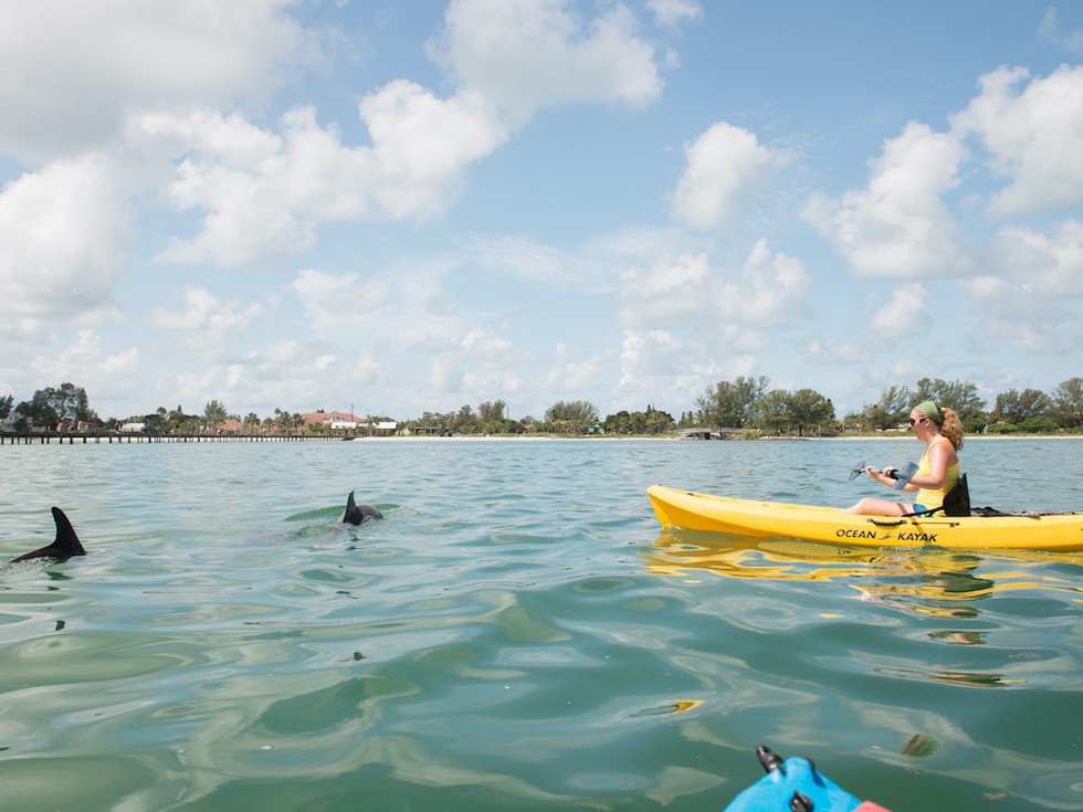 Kajak und Delfine vor der Küste von Bradenton