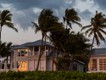 Palmen im Sturmwind, Florida