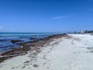 Siesta Beach, Siesta Key