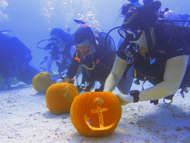 Unterwasser Kürbisschnitzen Florida Keys