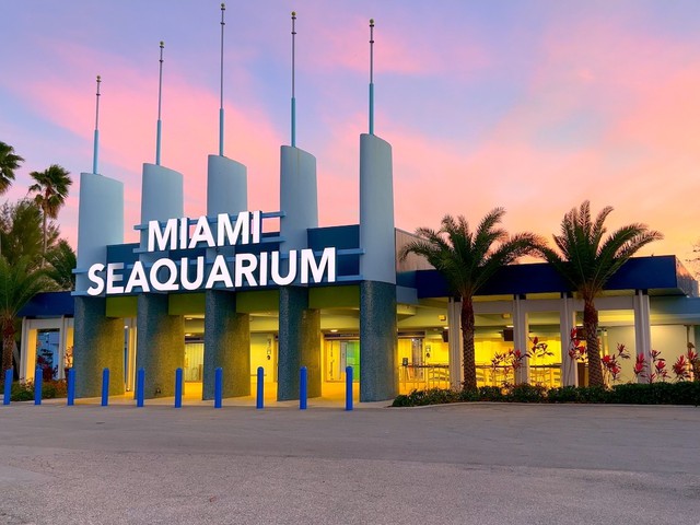 Seaquarium Miami